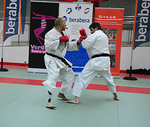 discapacidad-2