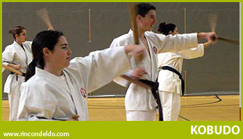 Kobudo-Karate, Artes Hermanas