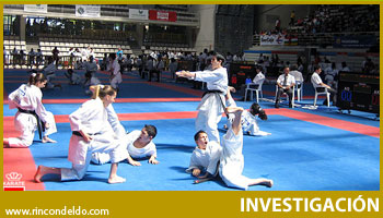 El Karate Infantil