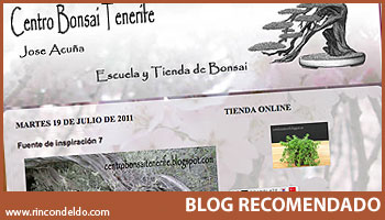 Blog Centro Bonsai Tenerife
