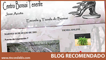 Blog Centro Bonsai Tenerife