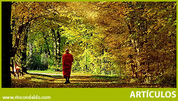 El gran bosque y el bello jardín.