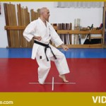 PinanShodan