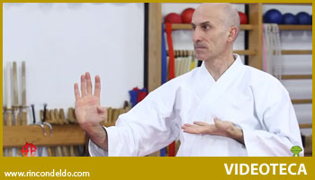 Defensas 2 – Karate-do