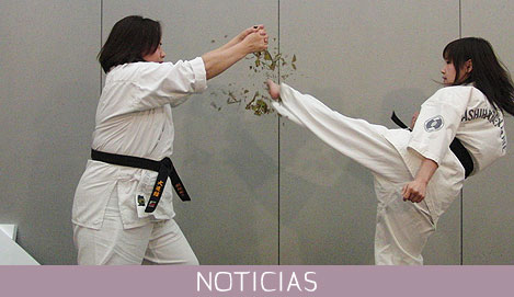 Enseñarán karate a mujeres golpeadas en Yucatán