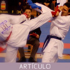 Análisis cualitativo biomecánico sobre mawashi geri