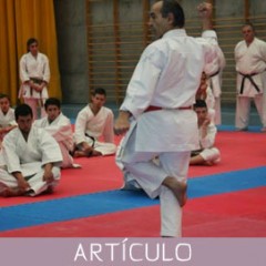 Kata (forma): ¿una pérdida de tiempo?