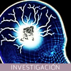 La práctica del karate y el desarrollo de capacidades cerebrales