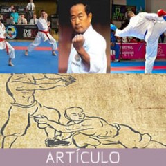 El karate postmoderno, tras la pérdida del TEGUMI