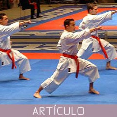 Una Perspectiva gentil del Karate