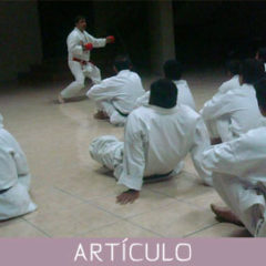 Procesos de capacitación profesional de los maestros de artes marciales en la actualidad internacional, y su relación con la actividad que realizan
