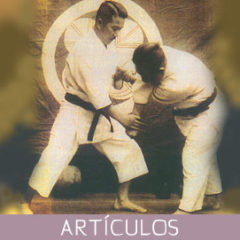 Los Katas de Karate-jutsu no son fijos o inamovibles…