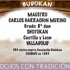 CLUB DE KARATE BUDOKAN