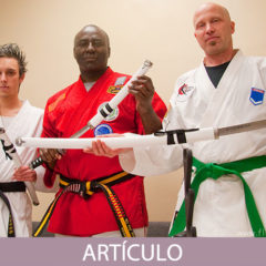 Color y diseño del cinturón de los maestros de artes marciales. ¿Apariencia o esencia?