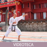 Karate desconocido | Salvador Herraiz | TEDxAlcarriaSt
