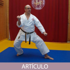 Análisis en algunos aspectos avanzados en la práctica del Karate-do (Parte-3)