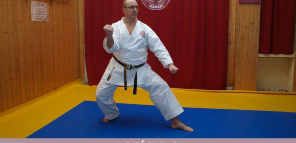 Análisis en algunos aspectos avanzados en la práctica del Karate-do (Parte-3)