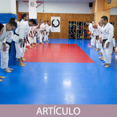 Etiqueta de conducta para asistir a un Dojo en Japón desde países externos. (Parte II)