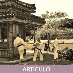 Karate Tradicional. (Parte 1)