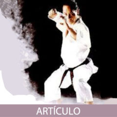 La estructura del Karate