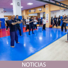 Stage en Burgos del sensei Kenji Tokitsu