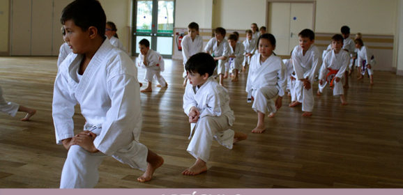 Parámetros del nuevo Instructor de Karate (3ª y última parte)