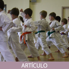 Parámetros del nuevo Instructor de Karate (2ªParte)