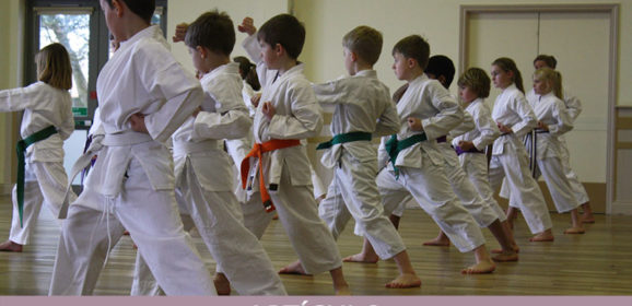 Parámetros del nuevo Instructor de Karate (2ªParte)
