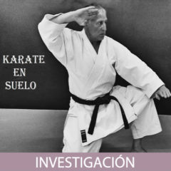 Karate en suelo (1ª Parte)