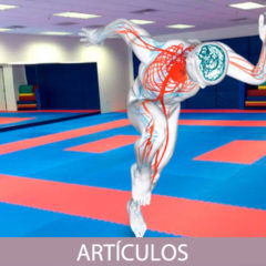 Neurociencia Aplicada a las Artes Marciales