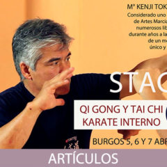 Stage en Burgos del sensei Kenji Tokitsu