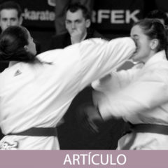 El concepto de mubobi 無防備