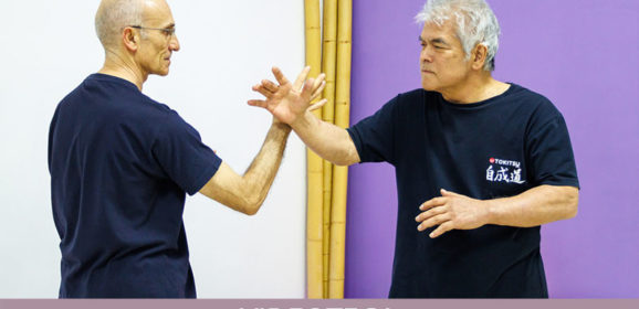 Forma de Tai Chi Chuan de las síntesis auténticas.