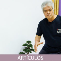 Una gran alegría, una gran práctica, una gran lección, un gran maestro.