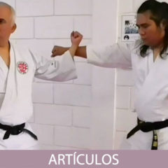 BUNKAI: ¿Un movimiento tiene varios significados?