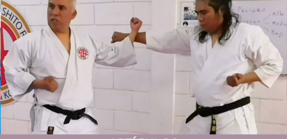 BUNKAI: ¿Un movimiento tiene varios significados?