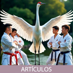 Las cuatro potencias del Hakutsuru-Ken