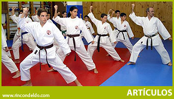 En defensa del Karate