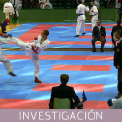 Karate después de Karate -El papel del Competidor de éxito al finalizar su etapa deportiva