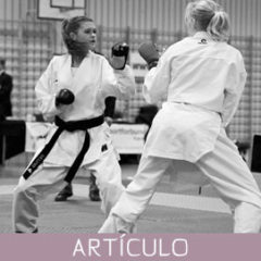 Sobre la estrecha relación entre la técnica y el espíritu en el Karate Budo.