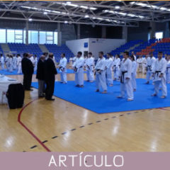 Análisis y perfeccionamiento de los «Programas de Grado» utilizados por las instituciones de Karatedo en la actualidad internacional.