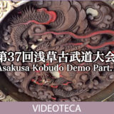 Japón, Budo y cultura (videos)