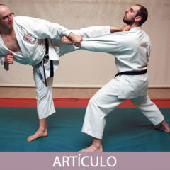Análisis en algunos aspectos avanzados en la práctica del Karate-do (Parte-1)
