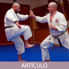 Análisis en algunos aspectos avanzados en la práctica del Karate-do (Parte-4)