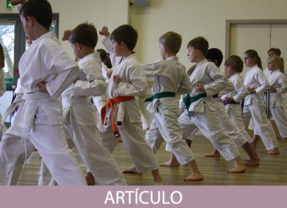 Parámetros del nuevo Instructor de Karate (2ªParte)