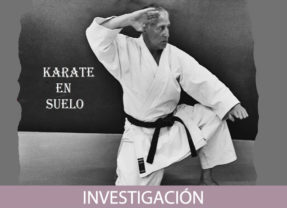 Karate en suelo (1ª Parte)