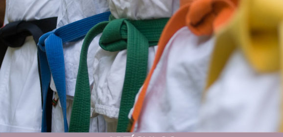 Validación del proceso Haramboure para la evaluación de grados en el Karatedo de la actualidad internacional.