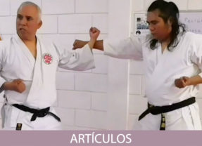 BUNKAI: ¿Un movimiento tiene varios significados?