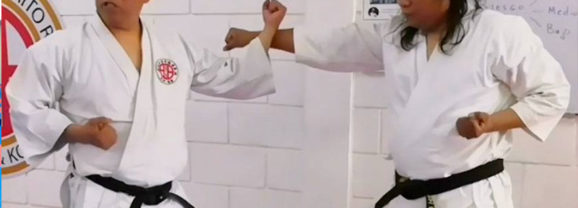 BUNKAI: ¿Un movimiento tiene varios significados?