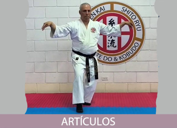 La importancia de la kata en el Hakutsuru-Ken